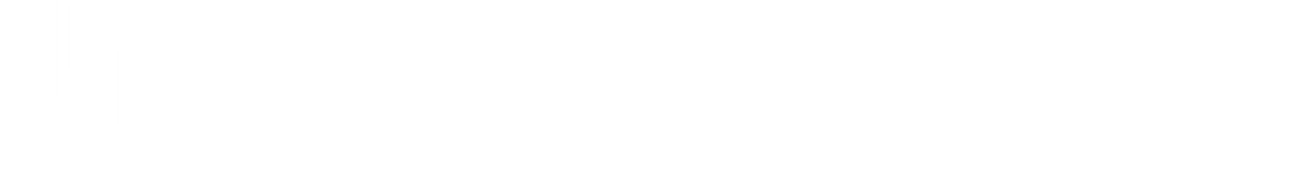 The Boschetti Group